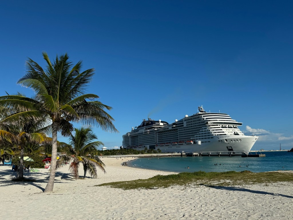 Cruise ship docked at an island with palm trees in foreground