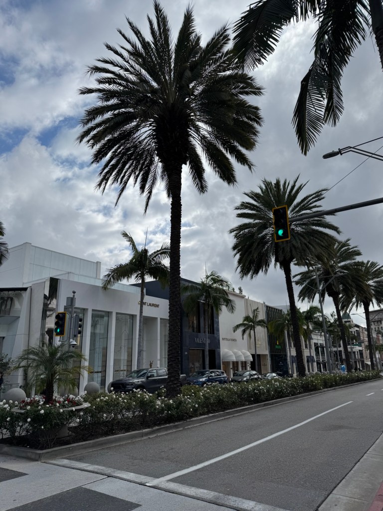Palm trees and storefronts on Rodeo drive