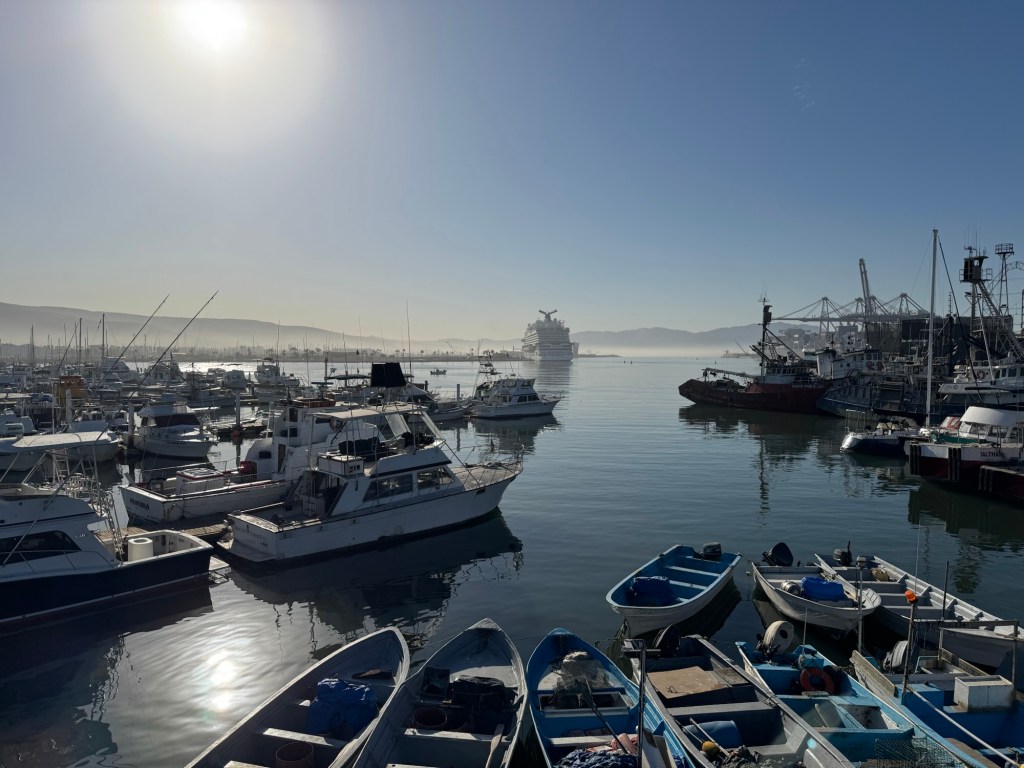Beautiful fishing harbour with multiple boats in the foreground and a cruise ship in the background