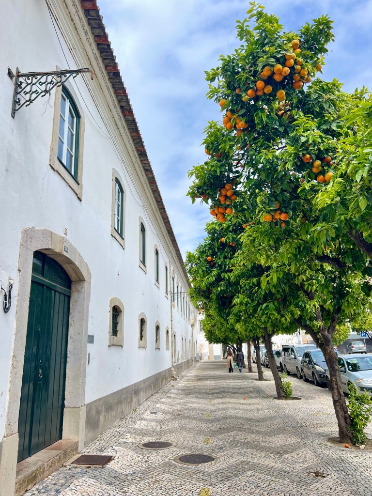 Old building with orange tree in Faro, Portugal