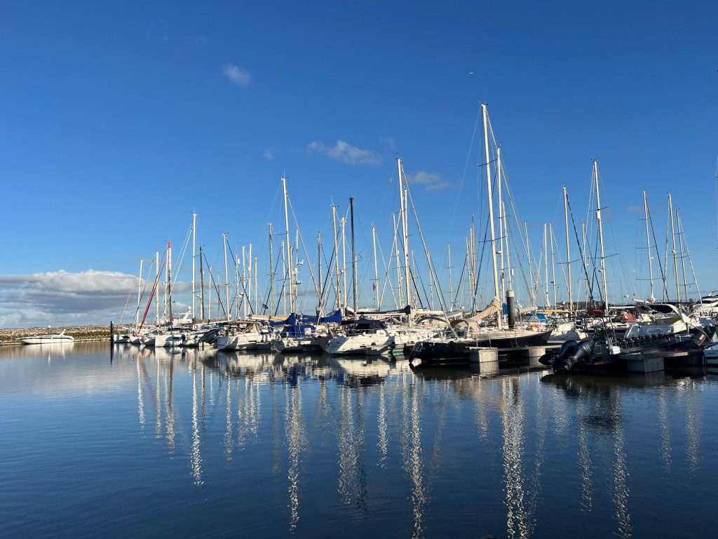 Sailboats parked in a marina