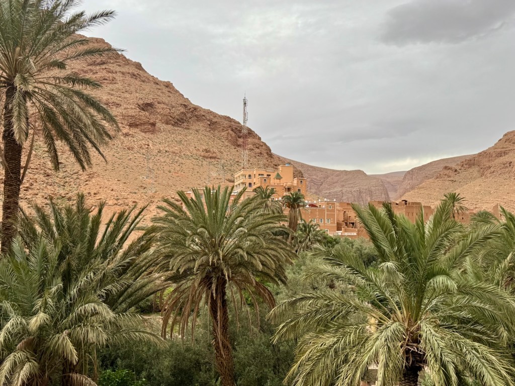 Hotel nestled into the canyon with palm trees in the foreground