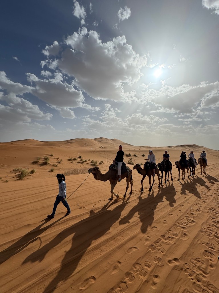 A caravan of camels and riders being led by a handler