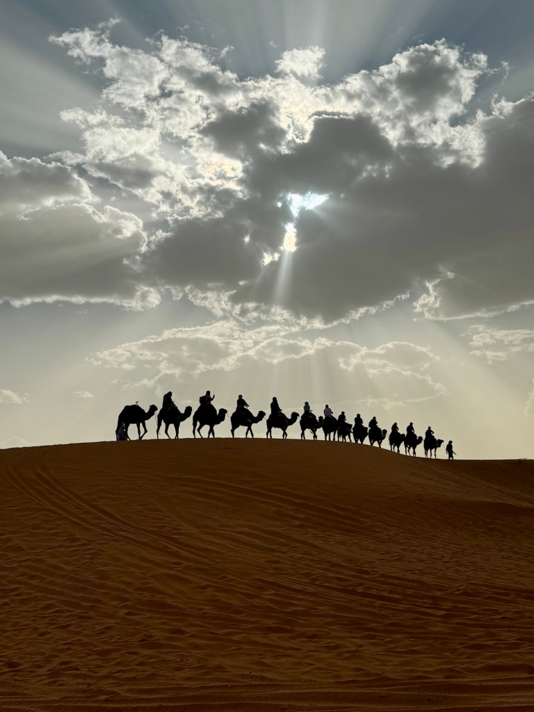 Silhouettes of a caravan of camels walking along the ride of a dune at sunset