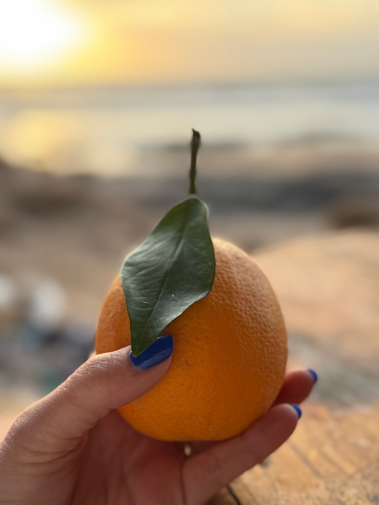 Orange in the foreground 